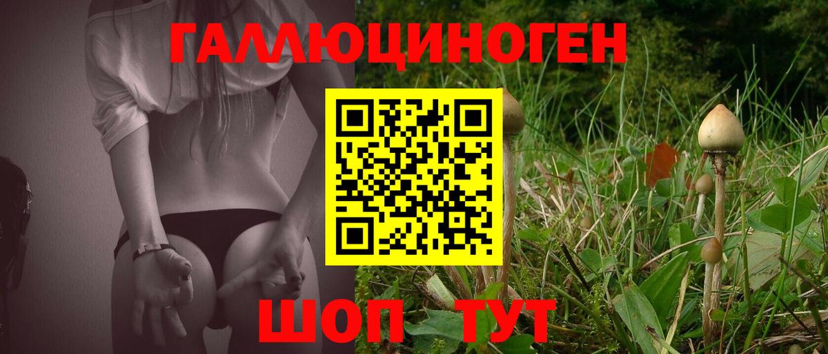 Галлюциногенные грибы MAGIC MUSHROOMS Россия